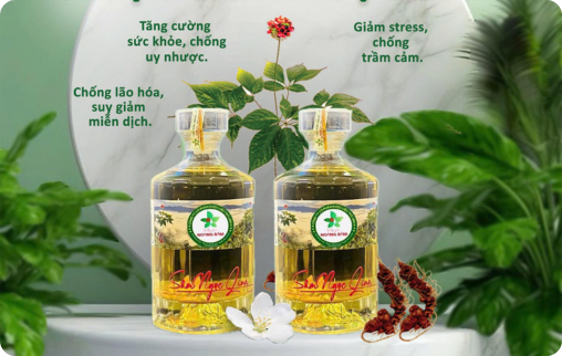 Noàng Sâm