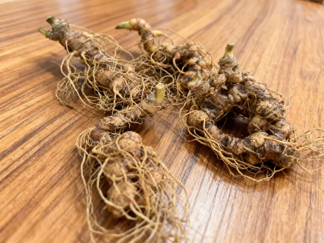 Củ Sâm Ngọc Linh 18 Năm tuổi