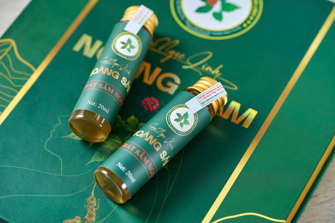 Sâm ngọc linh Noàng Sâm