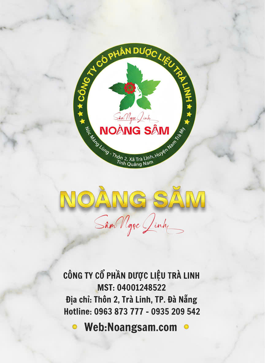 10. Trà Linh – Nơi gìn giữ và phát triển nguồn Sâm Ngọc Linh thuần Việt