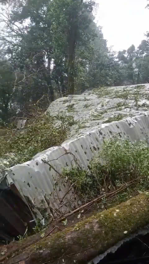 THÔNG BÁO VỀ ẢNH HƯỞNG CỦA CƠN BÃO LỚN – CÔNG TY CỔ PHẦN DƯỢC LIỆU TRÀ LINH