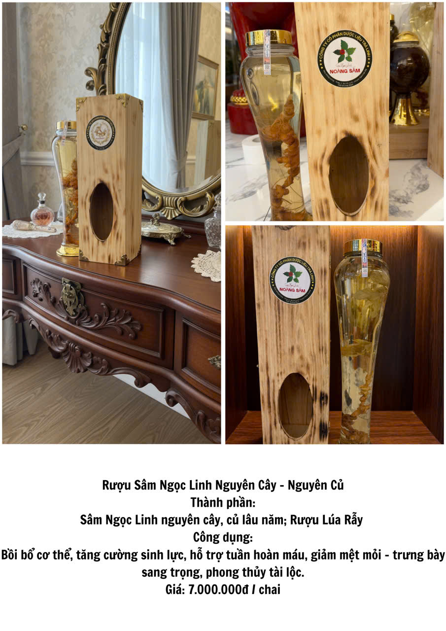 Rượu Nguyên Cây Sâm Ngọc Linh Trên 10 Năm