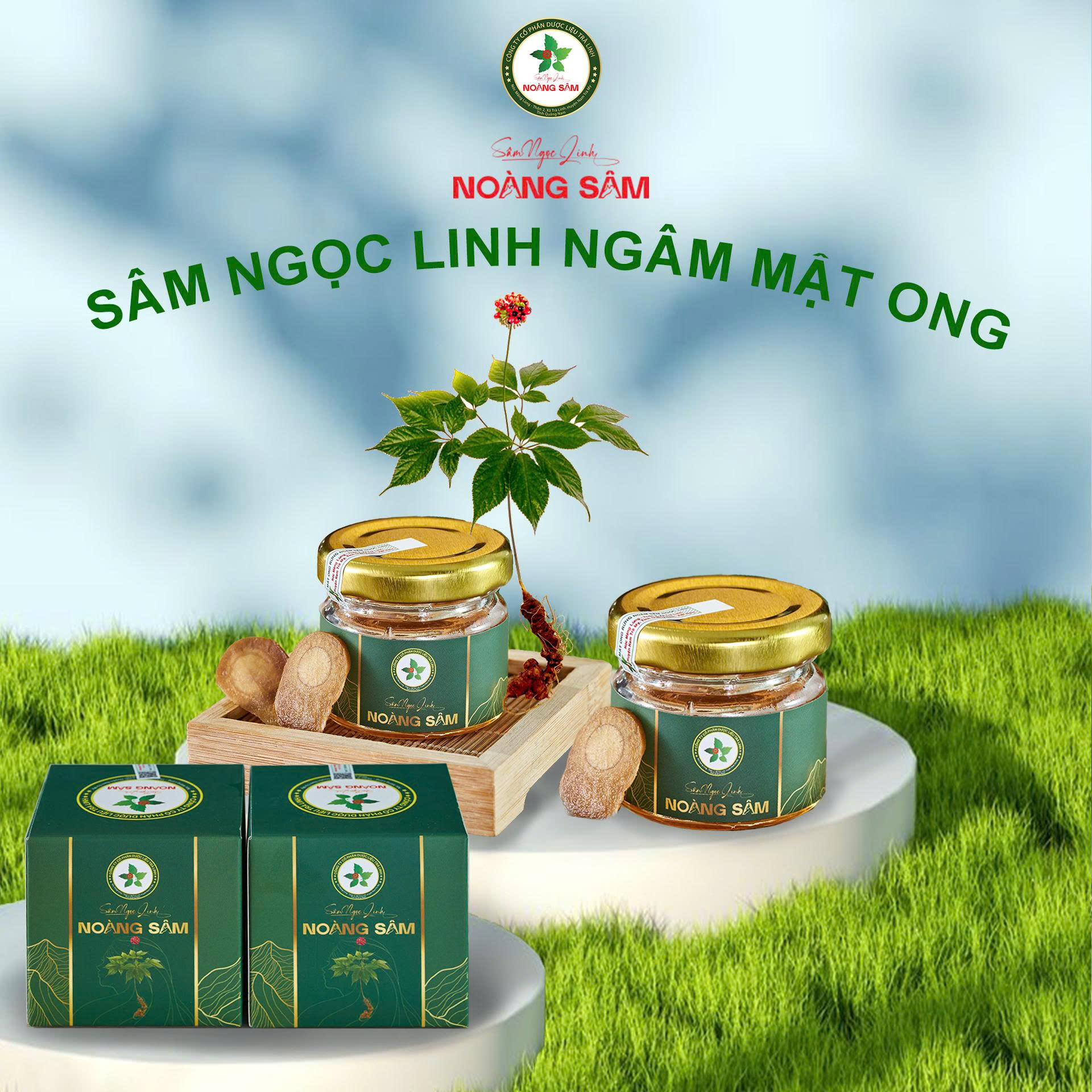 Sâm ngọc linh mật ong