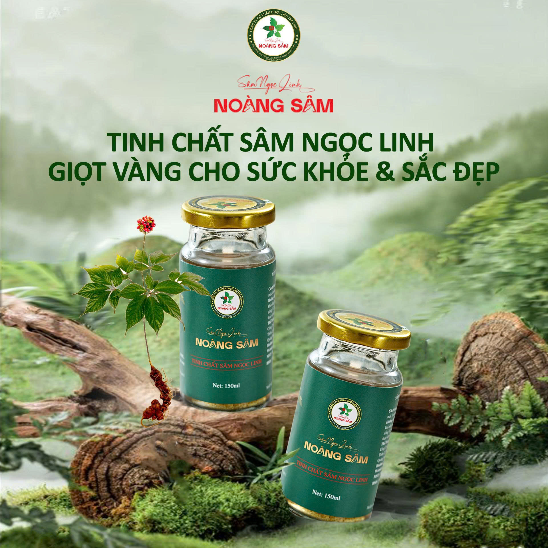 Hộp combo 10 chai tinh chất 20ml