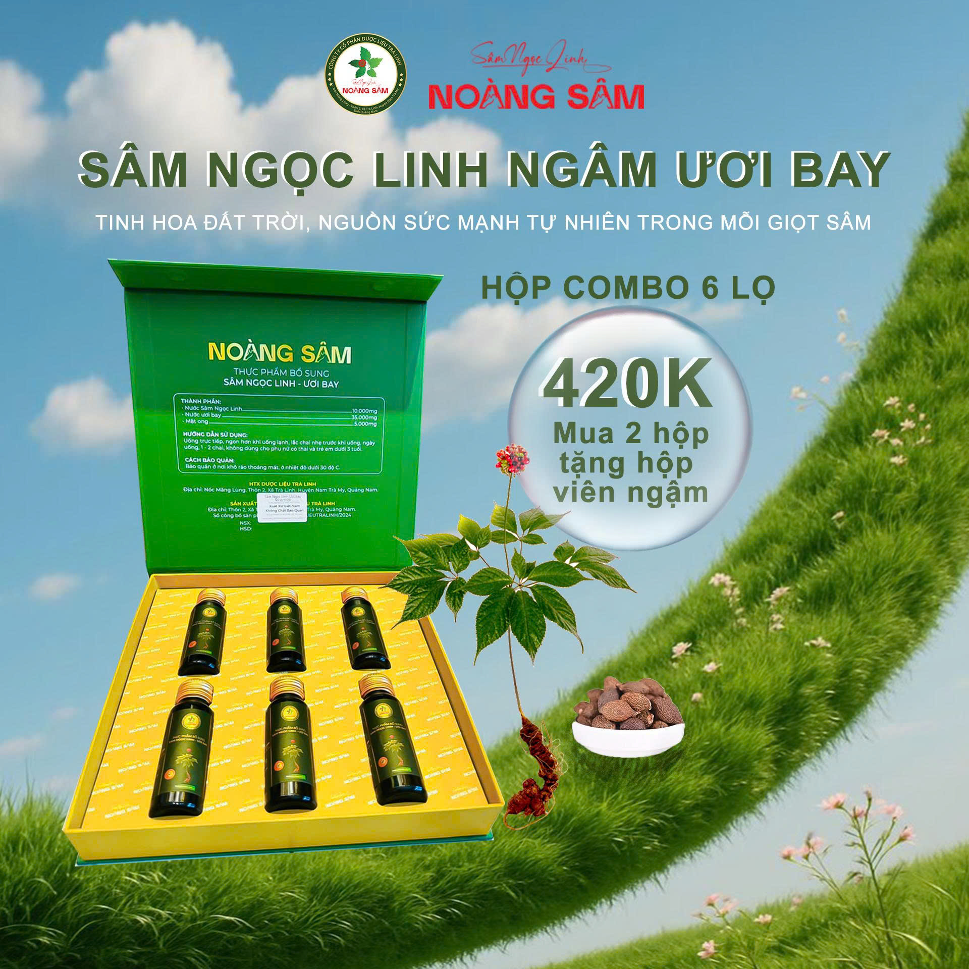 Sâm ngọc linh Ươi Bay