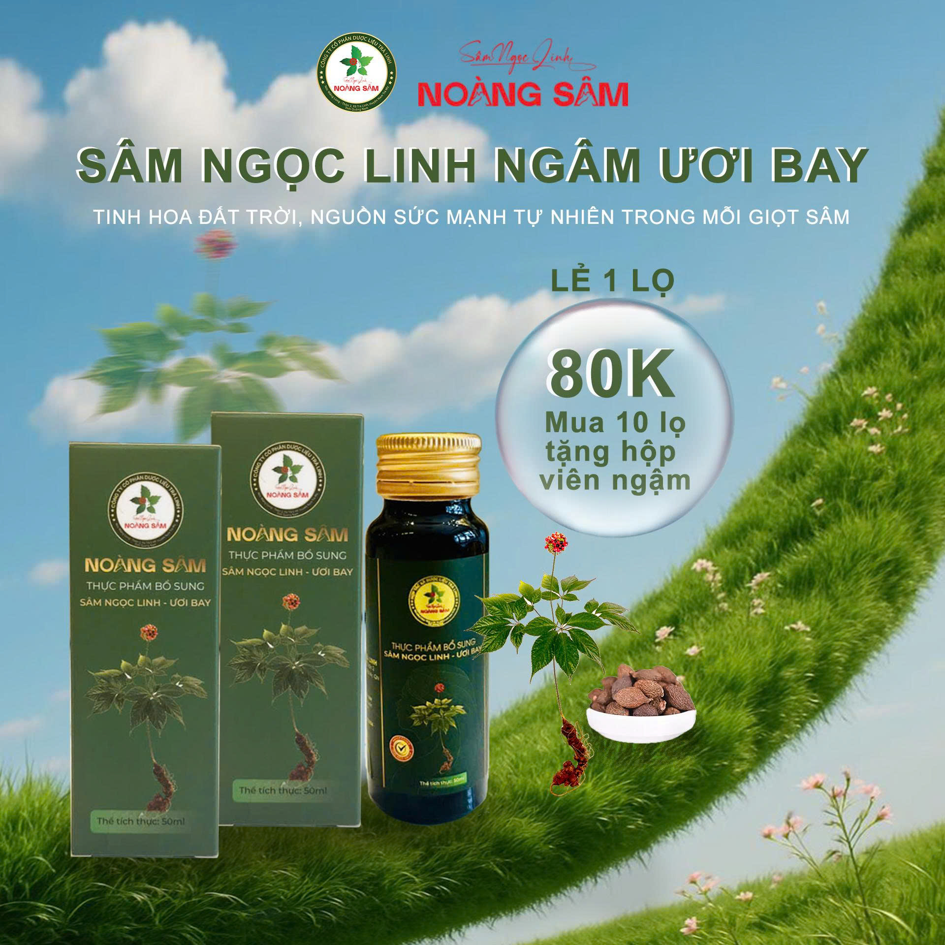 Sâm ngọc linh Ươi Bay