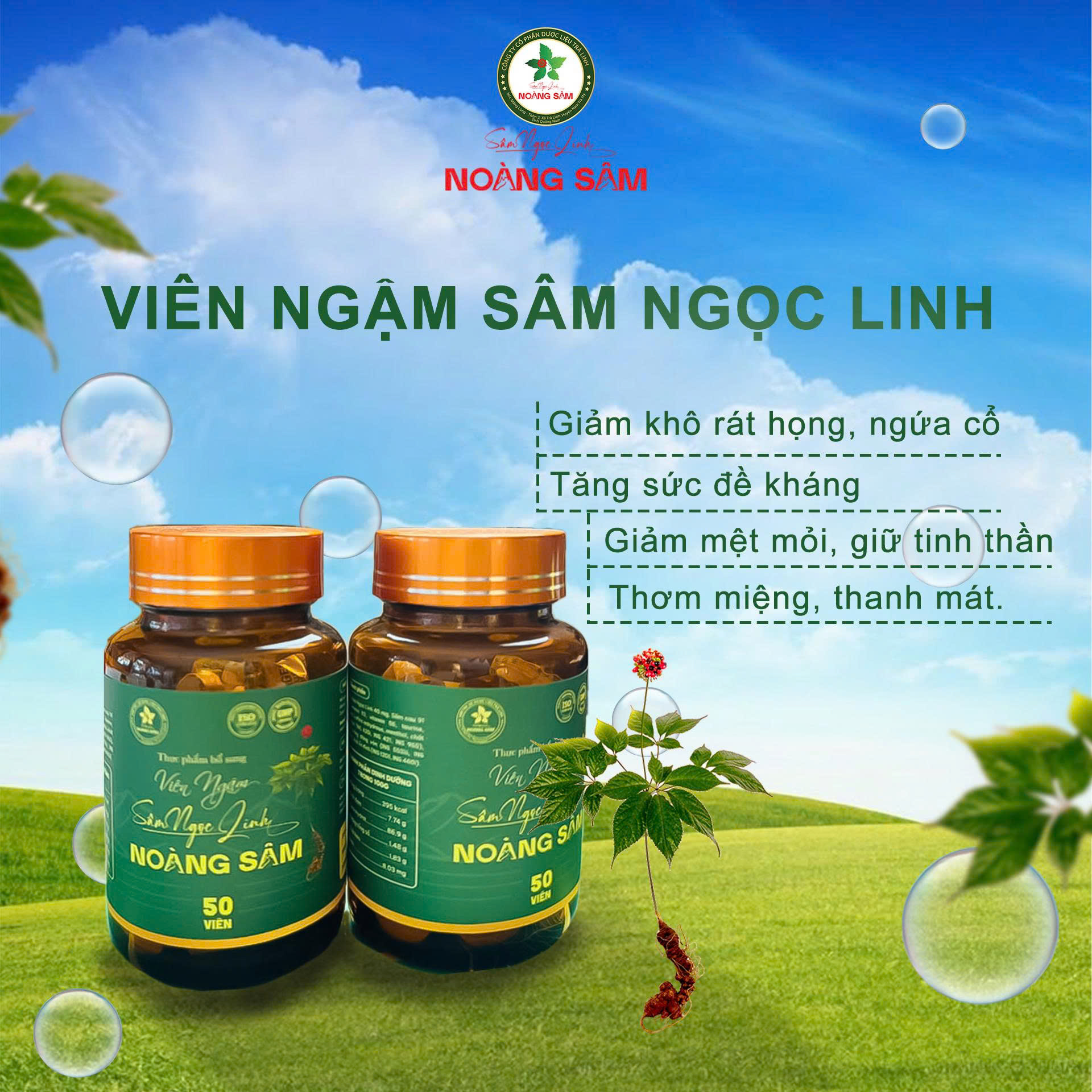 Viên ngậm Noàng Sâm
