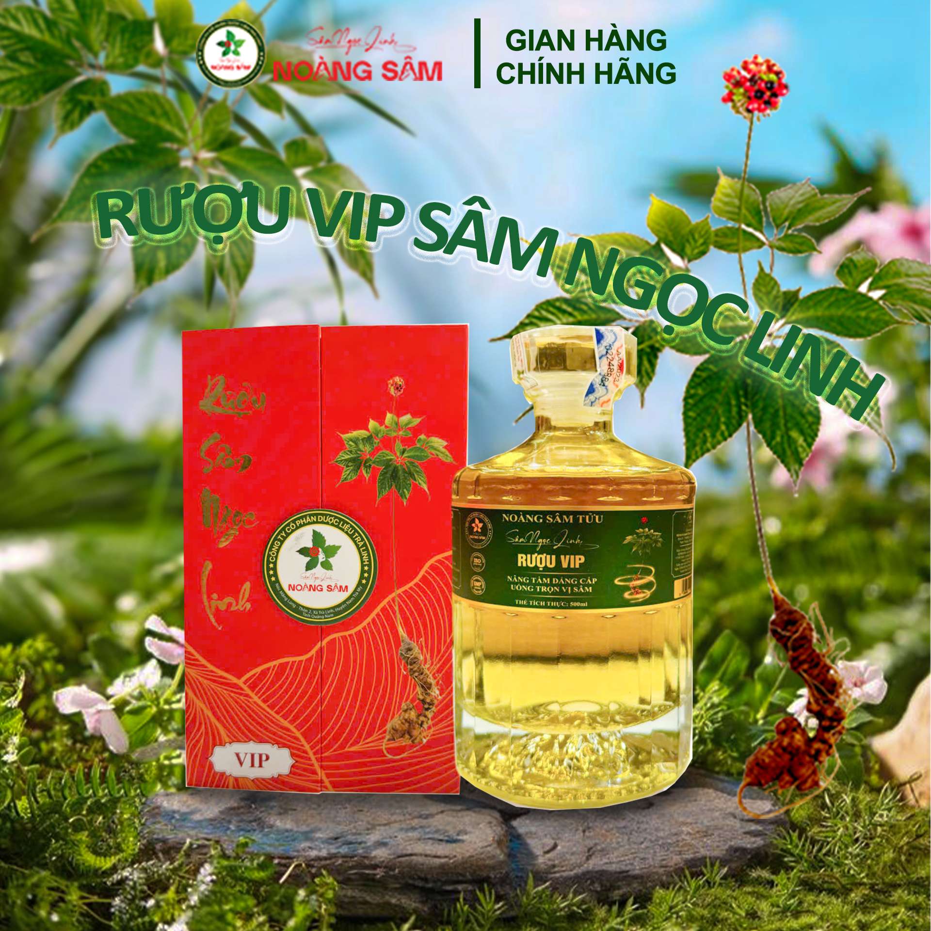 Rượu VIP sâm ngọc linh
