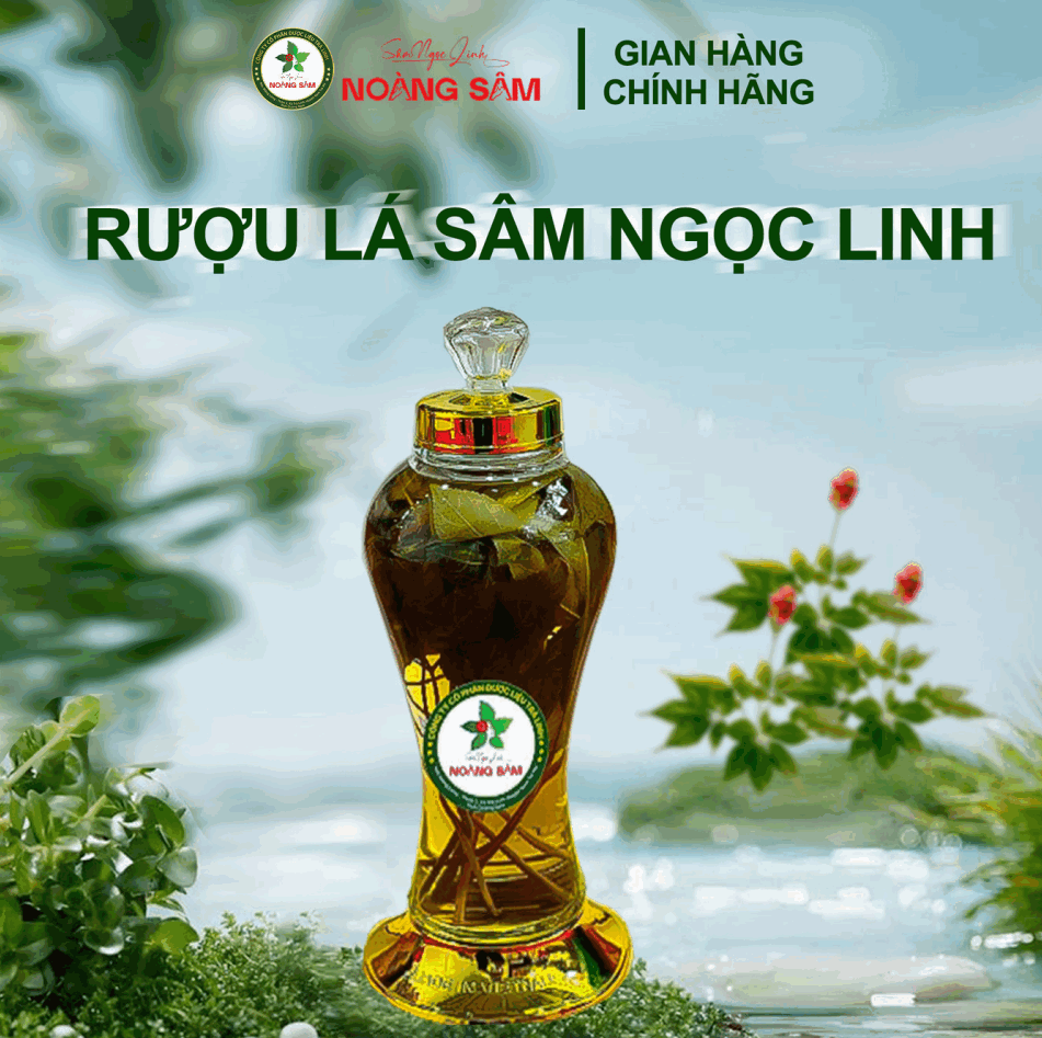 Rượu Lá Sâm Ngọc Linh Nguyên Cây