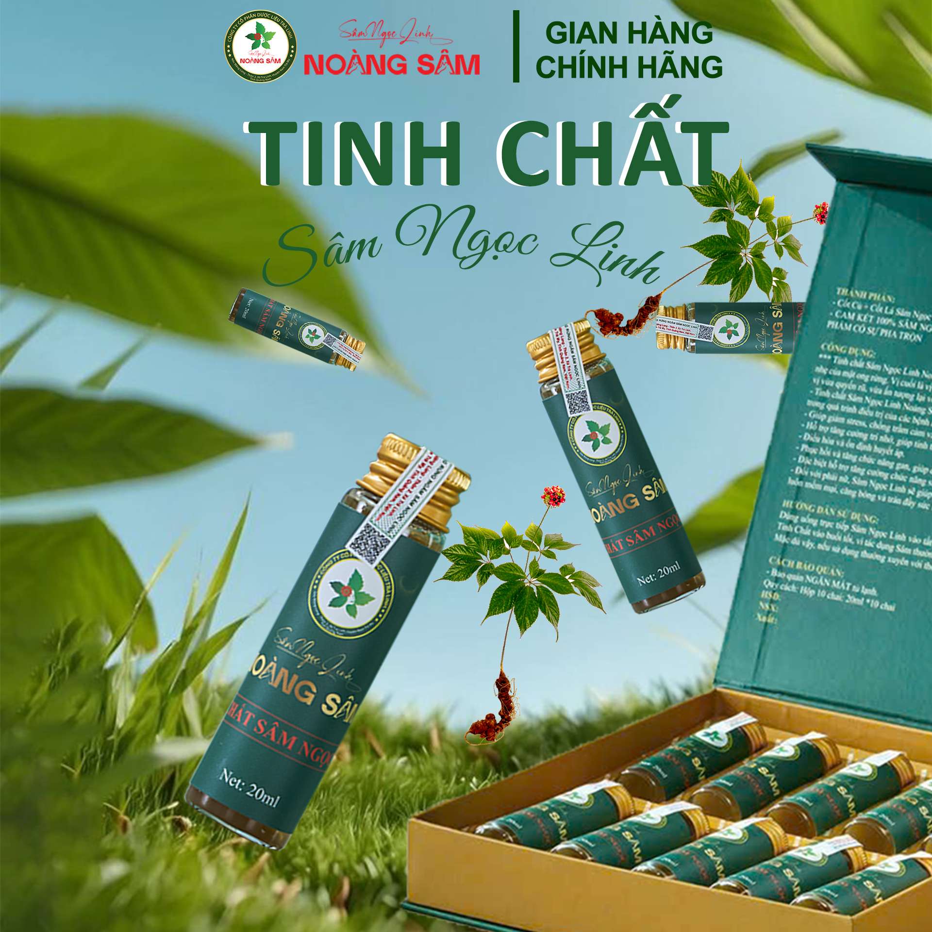 Tinh chất Sâm Ngọc Linh